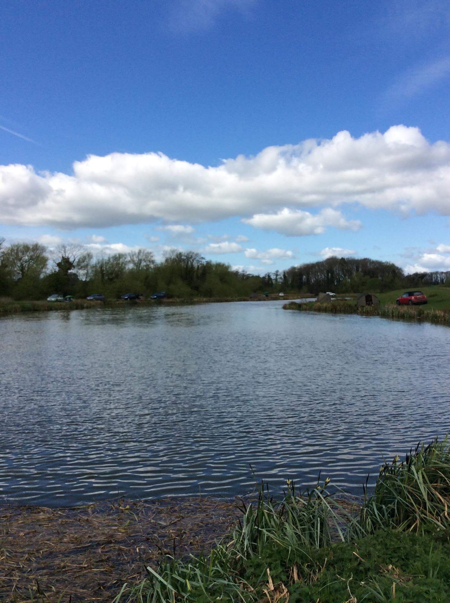 Watery Gate Fishery