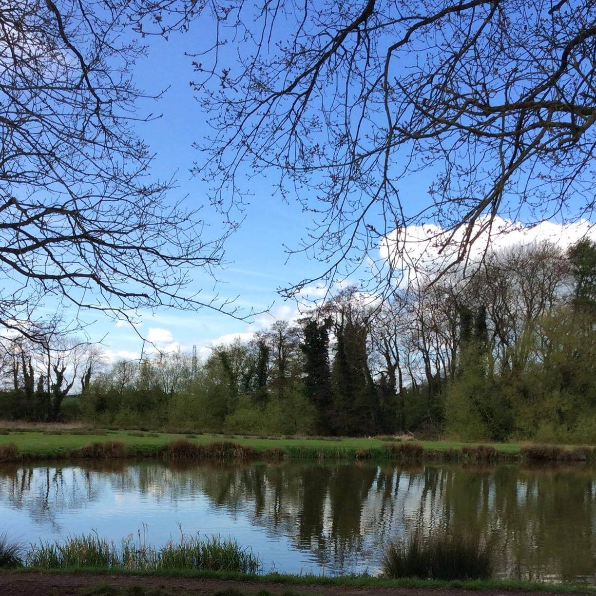 Watery Gate Fishery